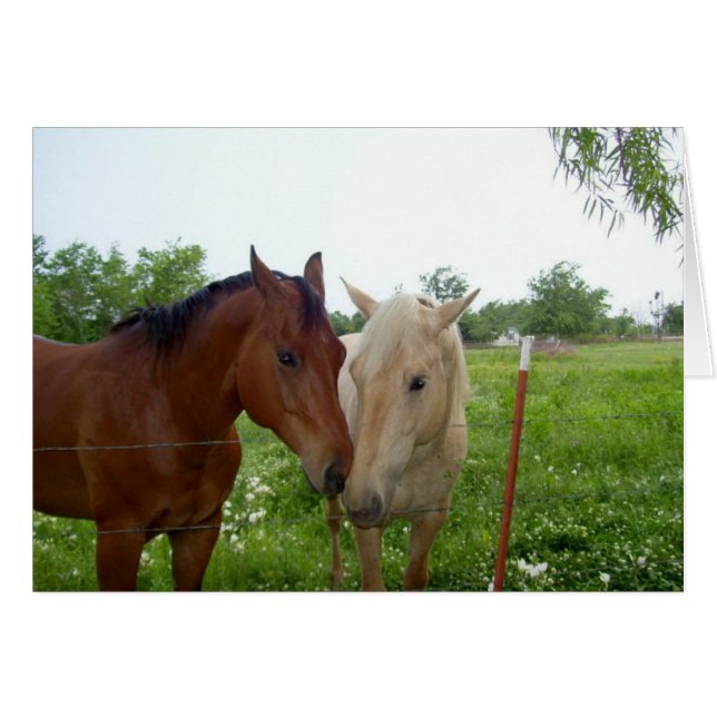 Twee paarden - Blank van binnen (Voorkant Horizontaal)