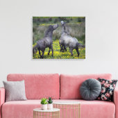 Twee paarden bokken en spelen canvas afdruk (Insitu (Woonkamer))