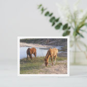 twee paarden briefkaart (Staand voorkant)