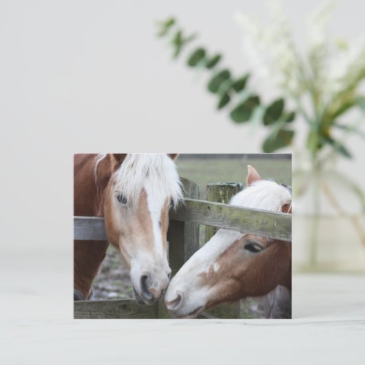 Twee paarden briefkaart (Staand voorkant)