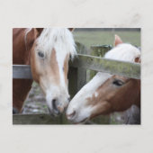 Twee paarden briefkaart (Voorkant)