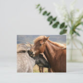 Twee paarden Briefkaart (Staand voorkant)