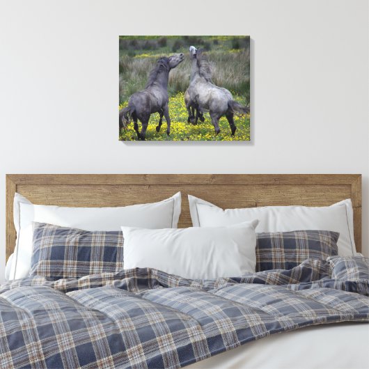 Twee paarden Buck en Play Canvas Afdruk (Insitu (Slaapkamer))