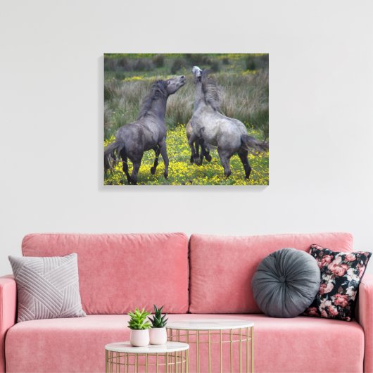 Twee paarden Buck en Play Canvas Afdruk (Insitu (Woonkamer))