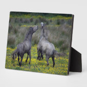 Twee paarden Buck en Play Fotoplaat (Zijkant)