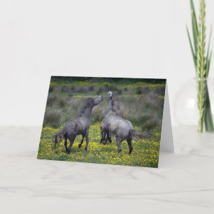 Twee paarden Buck en Play Kaart