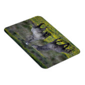 Twee paarden Buck en Play Magneet (Rechterzijde)