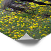 Twee paarden Buck en Play Poster (Hoek)