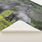 Twee paarden Buck en Play Sherpa Deken (3/4)