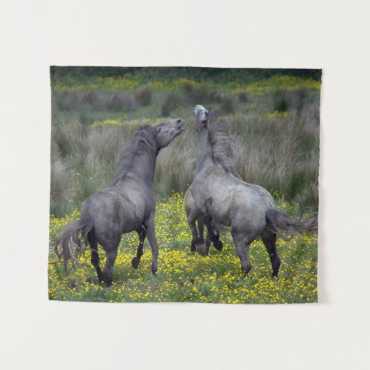 Twee paarden Buck en Play Wandkleed (Voorkant (horizontaal))
