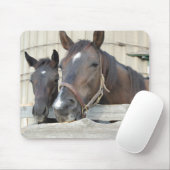 Twee paarden Chewin a Fence Muismat (Met muis)