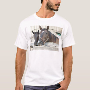 Twee paarden Chewin a Fence T-shirt