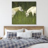 Twee paarden die gras eten canvas afdruk (Insitu (Slaapkamer))