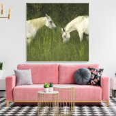 Twee paarden die gras eten canvas afdruk (Insitu (Woonkamer))