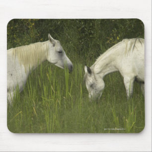 Twee paarden die gras eten muismat