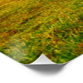 Twee paarden die grazen in het grasland poster (Hoek)