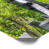 Twee paarden die paarden afspelen, Ranch Equine-fo Poster (Hoek)