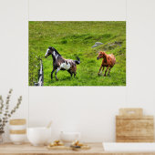 Twee paarden die paarden afspelen, Ranch Equine-fo Poster (Keuken)