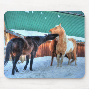 Twee paarden die spelen Funny Equine Fotografie Muismat