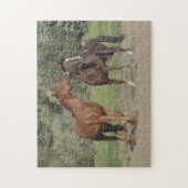 Twee paarden die spelen legpuzzel (Verticaal)