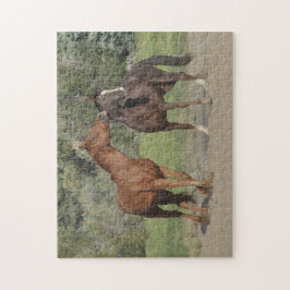 Twee paarden die spelen legpuzzel
