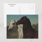 Twee paarden door het Briefkaart Rosa Bonheur (Voorkant / Achterkant)