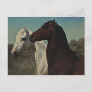 Twee paarden door Rosa Bonheur ansichtkaart Briefkaart