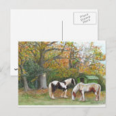 Twee paarden en een zigeunerwagen - Briefkaart (Voorkant / Achterkant)