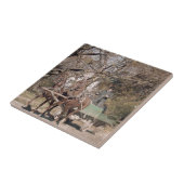 Twee paarden en twee oorlogen tegeltje (Zijkant)