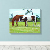 Twee paarden grazen canvasafdruk canvas afdruk (Insitu (Houten vloer))