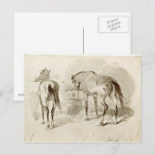 Twee paarden in de Manger Briefkaart (Voorkant / Achterkant)
