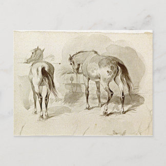Twee paarden in de Manger Briefkaart