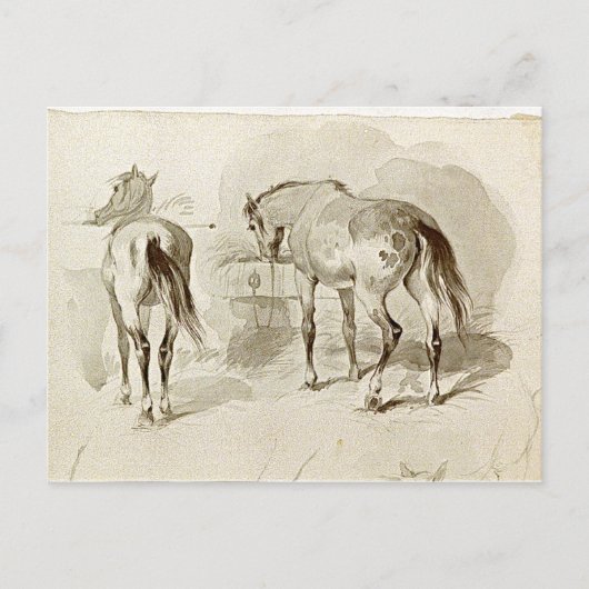 Twee paarden in de Manger Briefkaart (Voorkant)