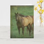 Twee paarden in een pasta kaart (Gele Bloem)