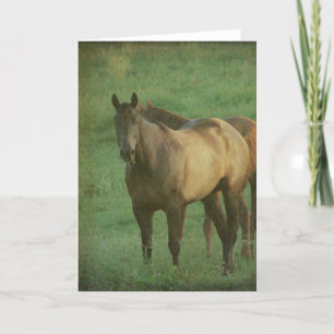 Twee paarden in een pasta kaart