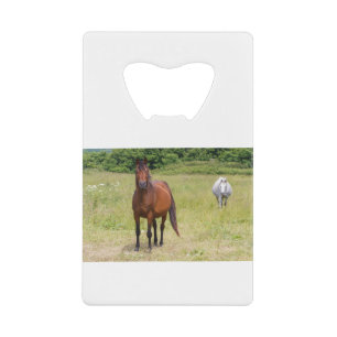 Twee paarden in een veld creditkaart flessenopener