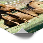 Twee paarden in pasta poster (Hoek)