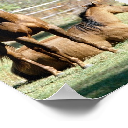Twee paarden in pasta poster (Hoek)