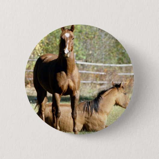 Twee paarden in pasta ronde button 5,7 cm (Voorkant)