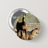 Twee paarden in pasta ronde button 5,7 cm (Voorkant /achterkant)