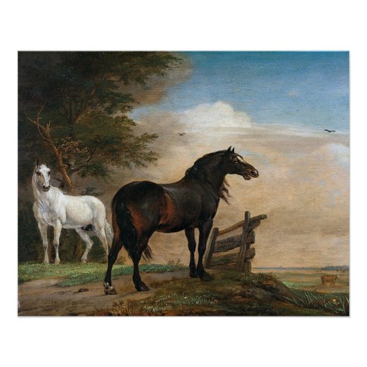 Twee Paarden in Weiland Perfect Poster (Voorkant)