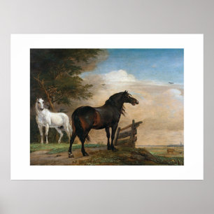 Twee Paarden in Weiland Poster