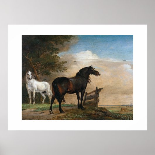 Twee Paarden in Weiland Poster (Voorkant)