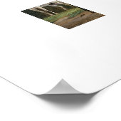 Twee Paarden in Weiland Poster (Hoek)