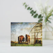 Twee paarden klaar voor het werk briefkaart (Staand voorkant)