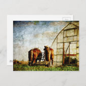 Twee paarden klaar voor het werk briefkaart (Voorkant / Achterkant)