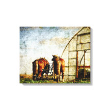 Twee Paarden klaar voor het werk