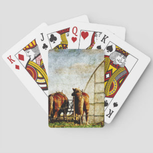 Twee paarden klaar voor werk pokerkaarten