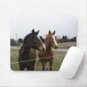 Twee paarden muismat (Met muis)