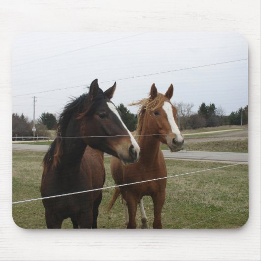 Twee paarden muismat (Voorkant)
